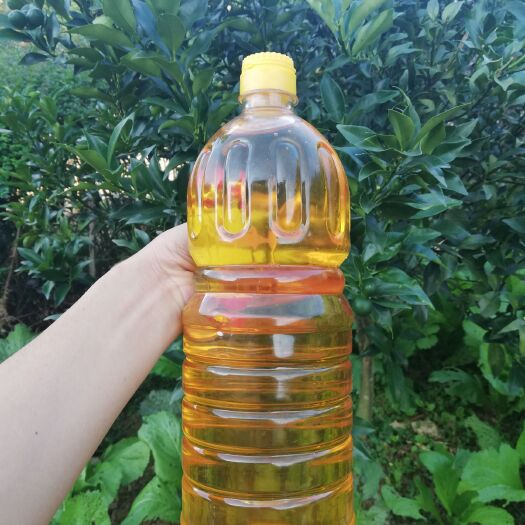 大田县 压榨山茶油纯正