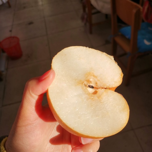 晚秋红梨有现货