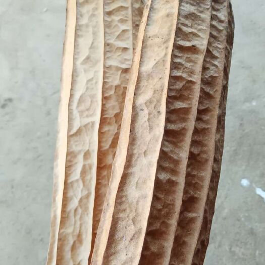 翁源县 丝瓜络