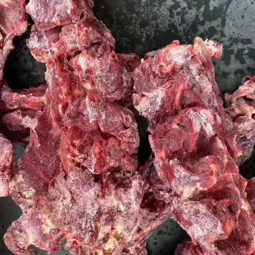 临沂 澳洲648牛脖骨