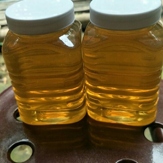 勐腊县 排蜂蜜