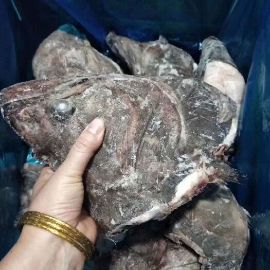 比目鱼  鲽鱼头，鲽鱼尾，整条鲽鱼系列