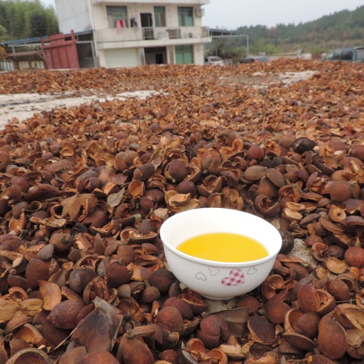 鹰潭 省级示范社直供纯正山茶油