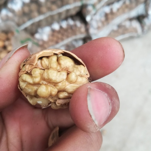 宁强县 干核桃，老品种，味道香口感好