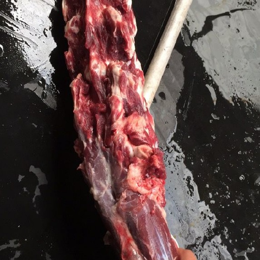 兰陵县 新鲜驴脊骨