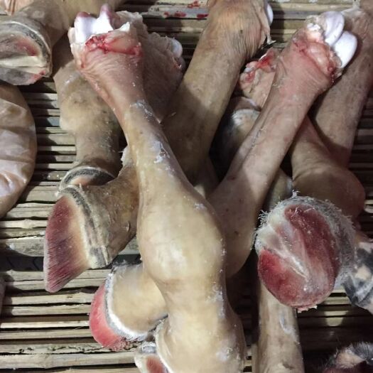 兰陵县 新鲜驴腿肉，自家现杀新鲜，需要请咨询