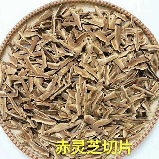 南宁 广西《鼎芝堂》专营海南各种灵芝