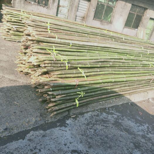 耒阳市 竹子精品