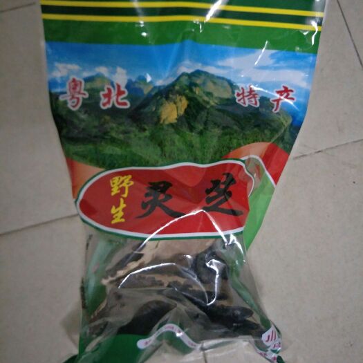 东莞市黑灵芝 粤北特产