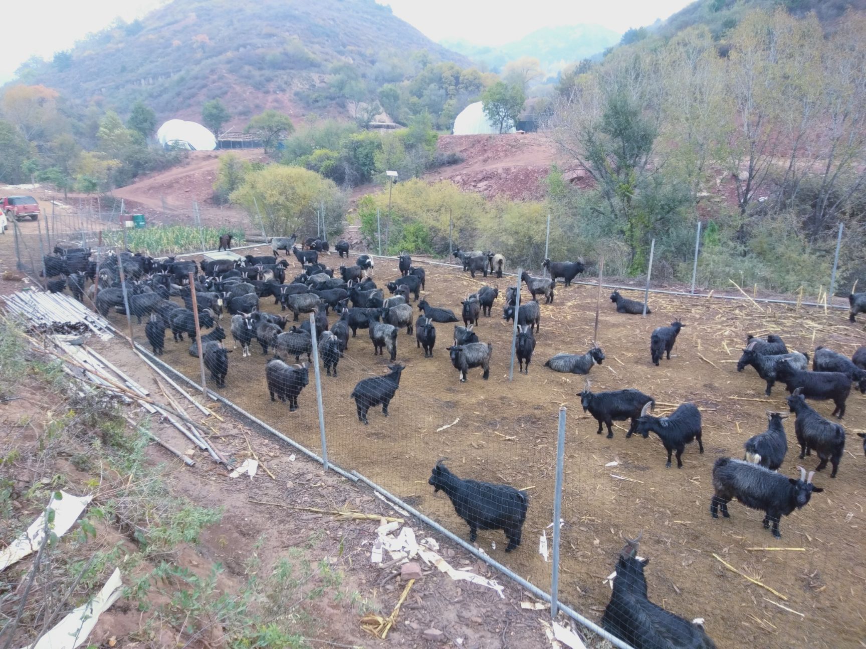 荒地 荒山林地3000/5000亩