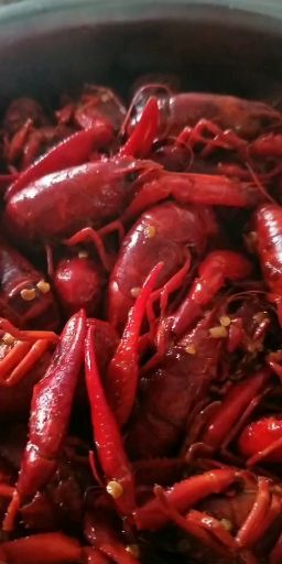 监利市 疫情过后，小龙虾继续火爆，监利县中国小龙虾之乡，已大量出货！