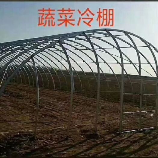 天津大棚管 厂家生产蔬菜棚  养殖棚   冷暖棚   等各种大棚及配件