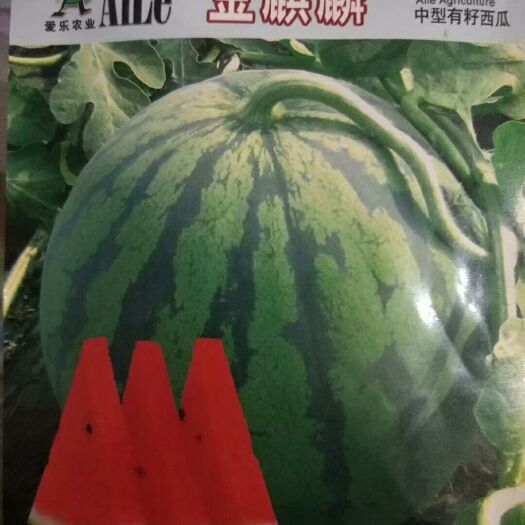 韶山市金麒麟西瓜种子 亲本（原种） ≥90%