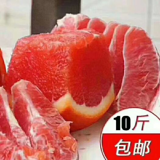 新宁县纽荷尔脐橙 湖南崀山脐橙新鲜当季，孕妇水果脐橙胜赣南脐橙