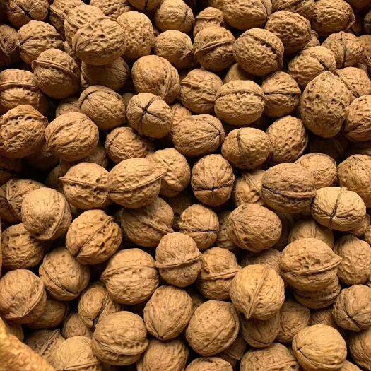 大姚县 大姚薄皮核桃每公斤26