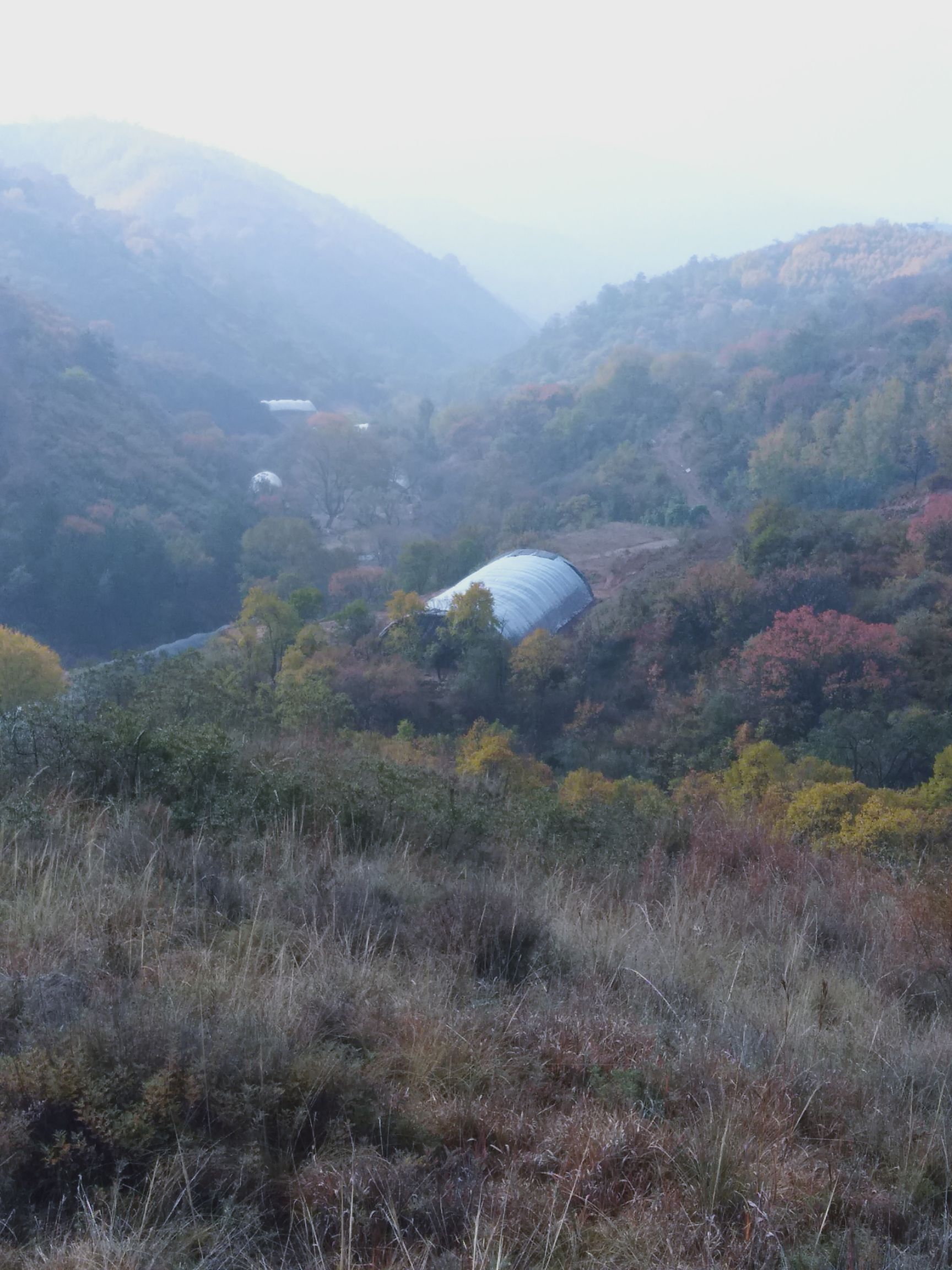 荒地 荒山林地3000/5000亩