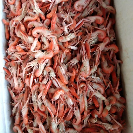 蝼蛄虾 爪虾（狗虾）自家加工，油炸即食都可以，补钙神品