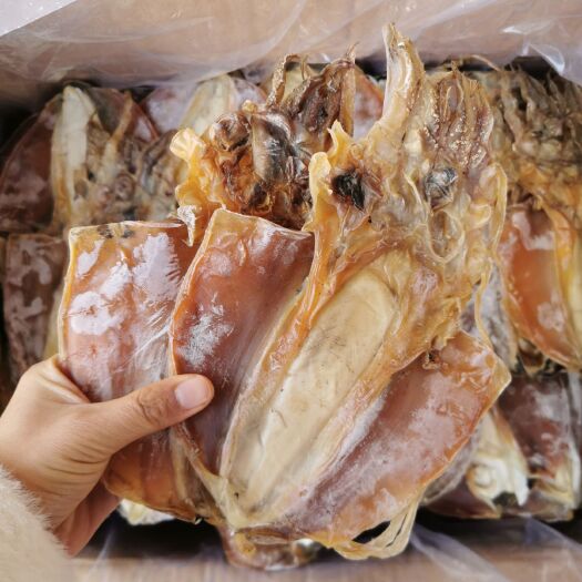 长沙墨鱼干 淡干大墨鱼，产地直销