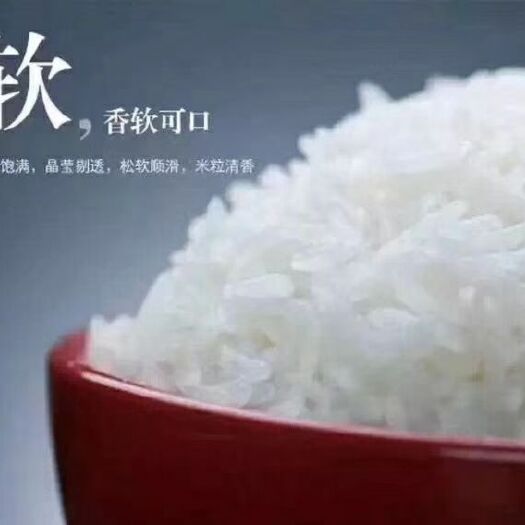 哈尔滨参米 一等品 晚稻 粳米