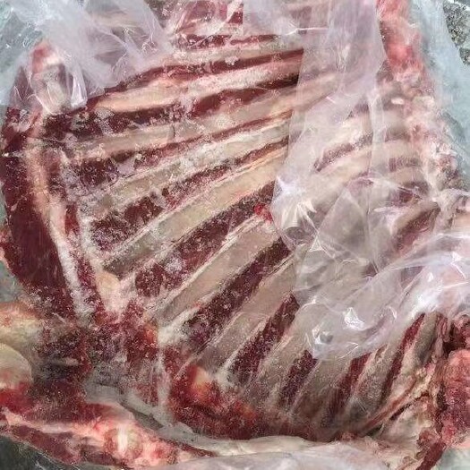无棣县 羔羊排