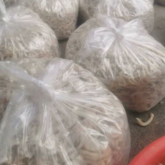 利津县 羊皮批发