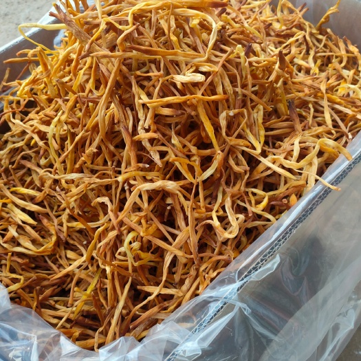 祁东县祁东黄花菜  颜色好 根条大 95干 量大从优