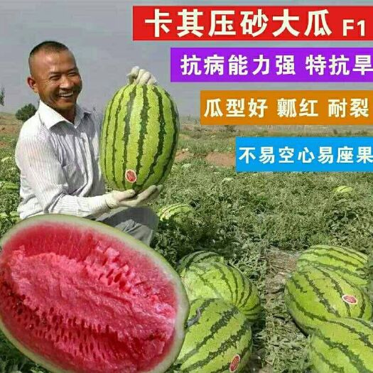 樟树市甜大西瓜种子卡其硒砂大瓜宁夏石缝瓜石头瓜瓤红超甜春播懒汉瓜