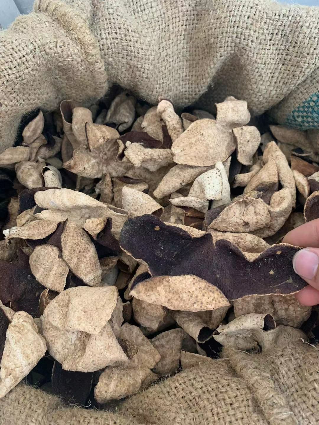  正宗新会陈皮