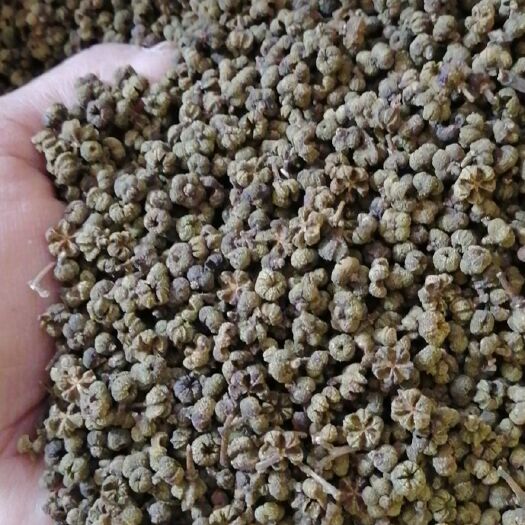 柳城县 吴茱萸产新，干货出售，有需要的老板请打扰
