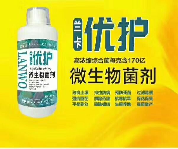 郑州复合微生物菌剂 微生物菌肥