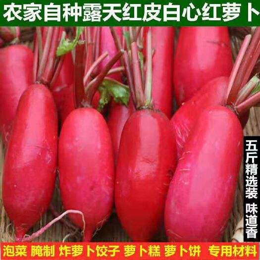  新鮮紅蘿卜農(nóng)家自種紅皮白心蘿卜泡菜紅水蘿卜蔬菜3/5斤裝