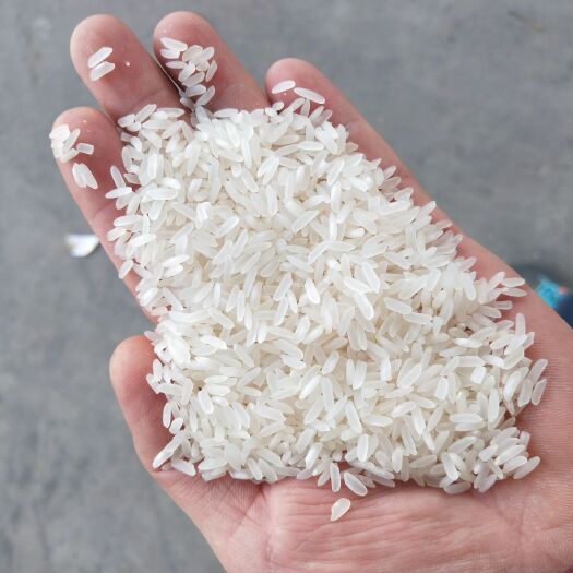  大米长粒香长粒米烧饭大米20斤彩包装50斤装大米