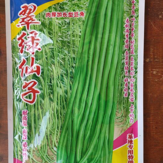 南靖县油青豆角种子 翠绿仙子豆角种子 颜色翠绿头尾均匀 无鼠尾