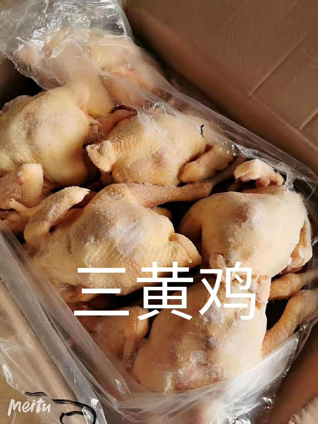 白条鸡三黄鸡