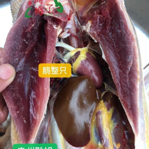 蒙城县 发酵牧草生态鹅肉