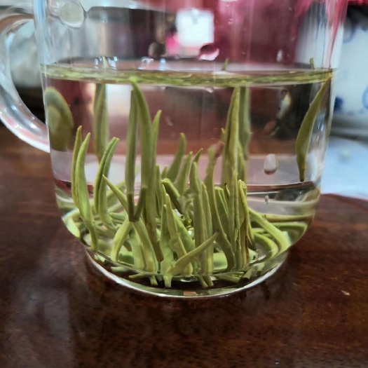 济南2024新茶踏雪兰妃   不见兰花影 但闻兰花香