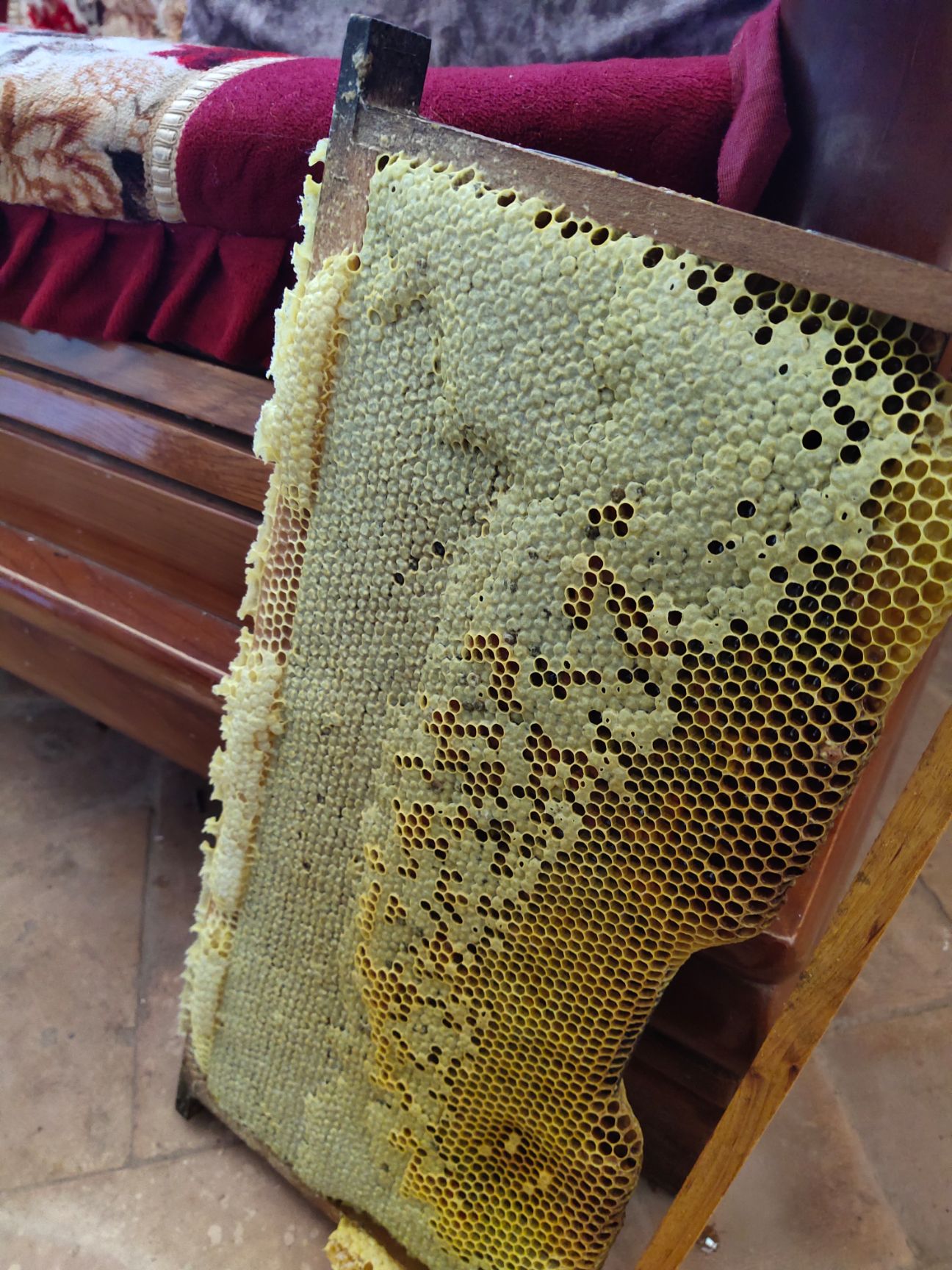  正宗土蜂蜜假一赔十