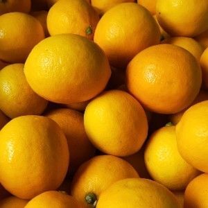 重庆市 这里是柠檬的出产地 这里的经济全靠柠檬