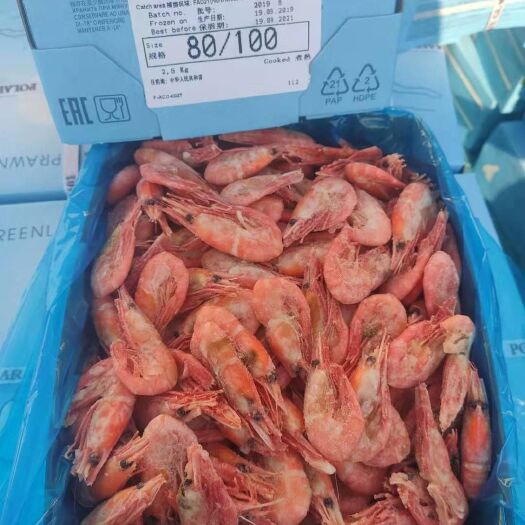 青岛北极虾 北极甜虾