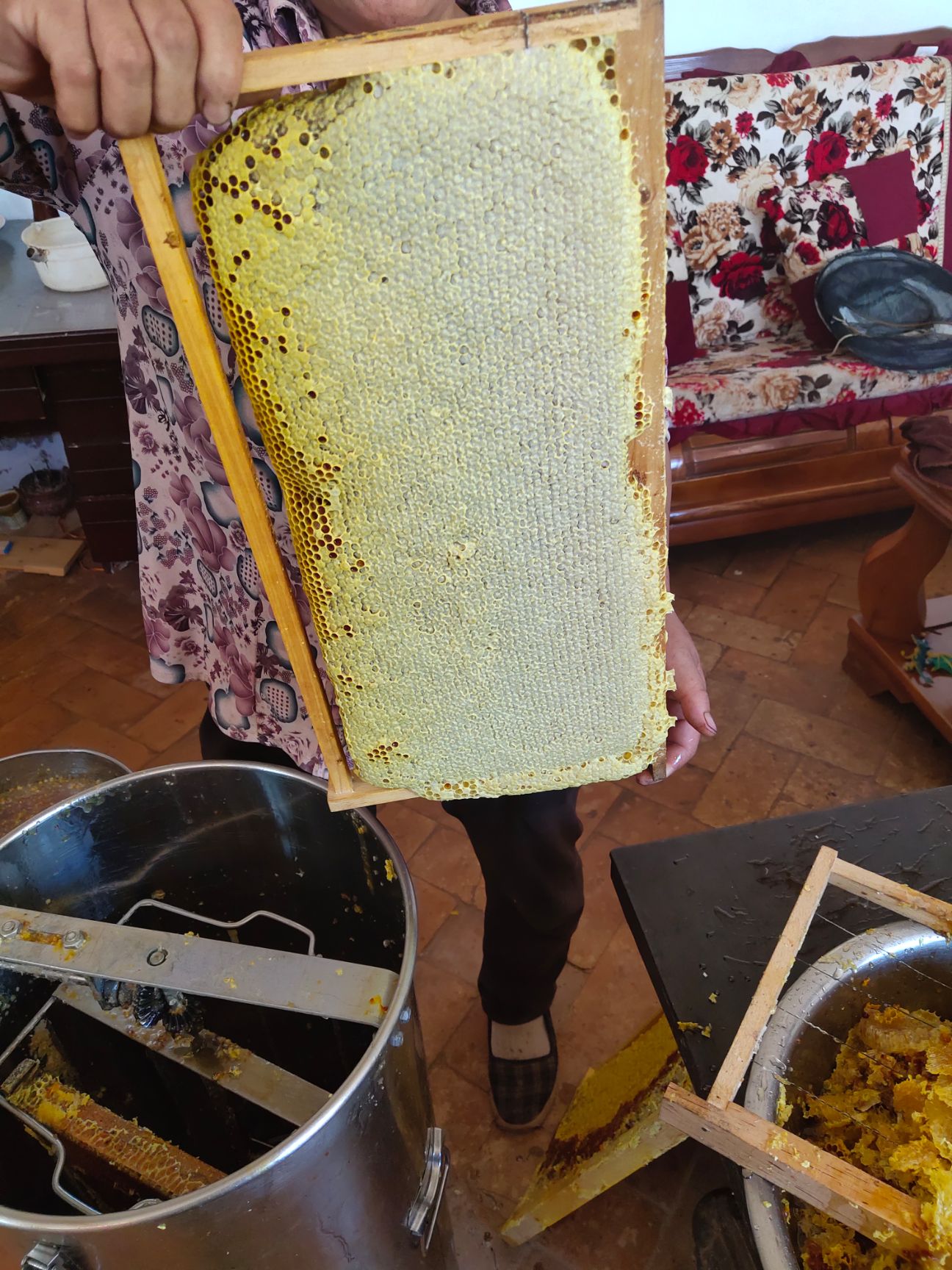  正宗土蜂蜜假一赔十