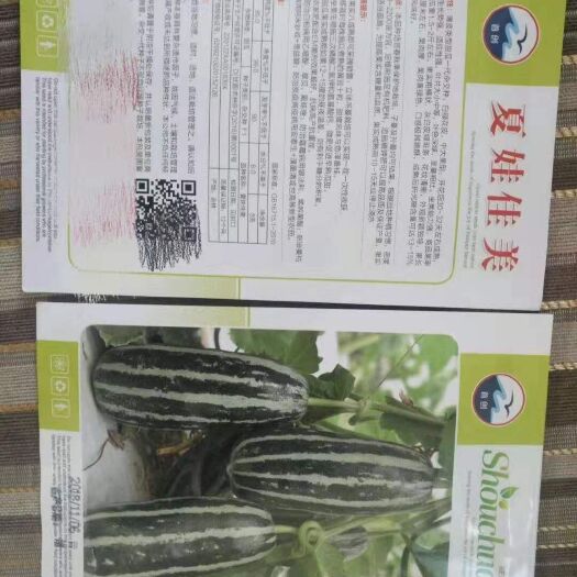 扶沟县博洋甜瓜种子 博洋系类夏娃佳美~白绿花皮，抗病性强口感酥脆果