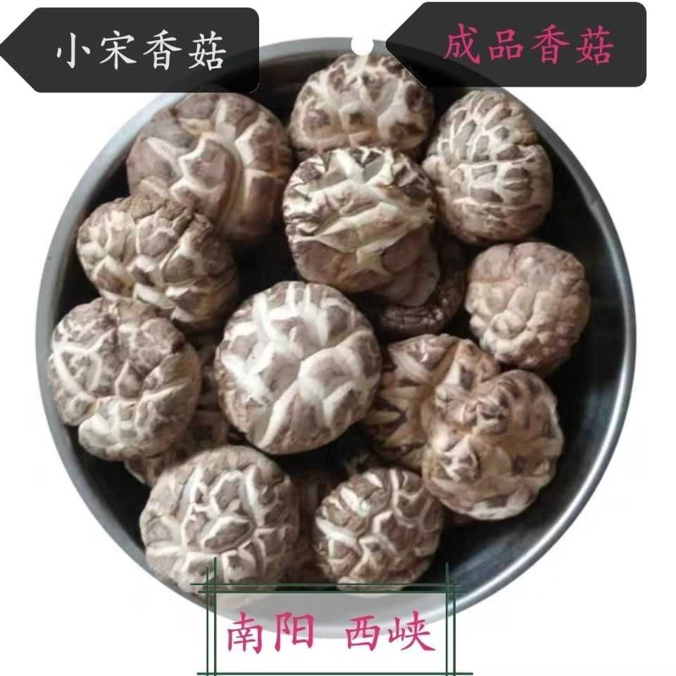 2024西峽香菇精品花菇珍珠香菇干貨小宋農(nóng)家特產(chǎn)冬菇剪腳蘑