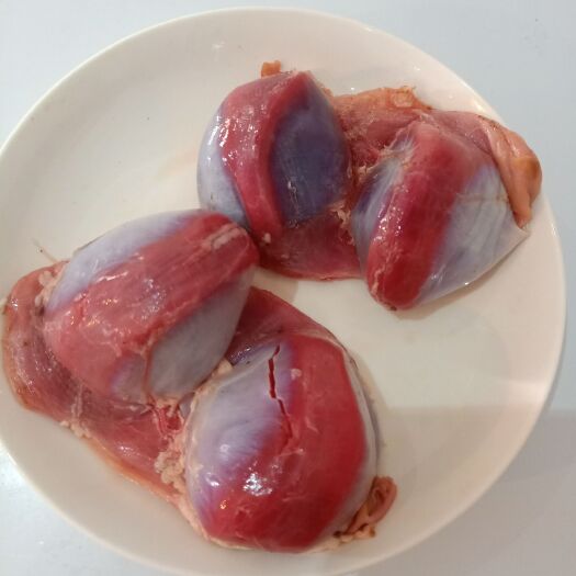 蒙城县 发酵牧草生态鹅胗