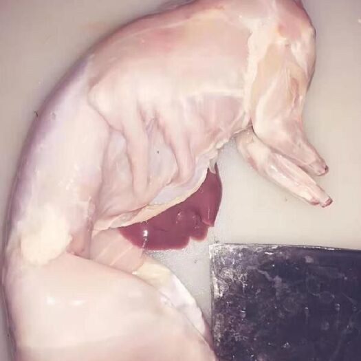 沈阳 现杀兔肉  白条兔  单只零售  兔肉