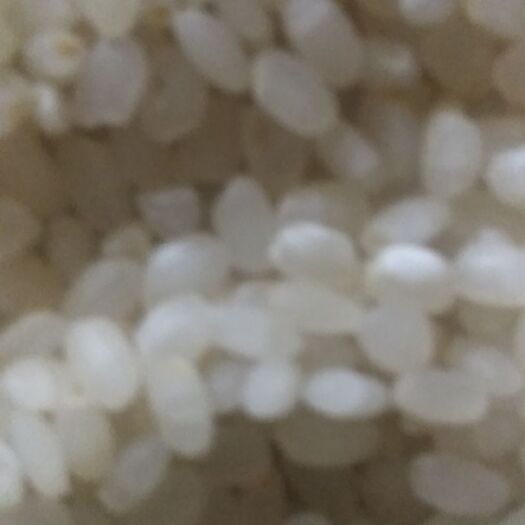 盐城南粳9108大米 一等品 晚稻 粳米