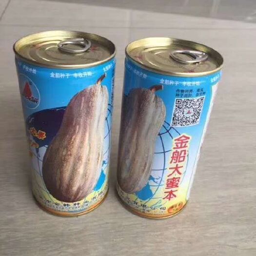 英德市南瓜种子 金韩金船，产量高，老品牌，上粉好，颜色好