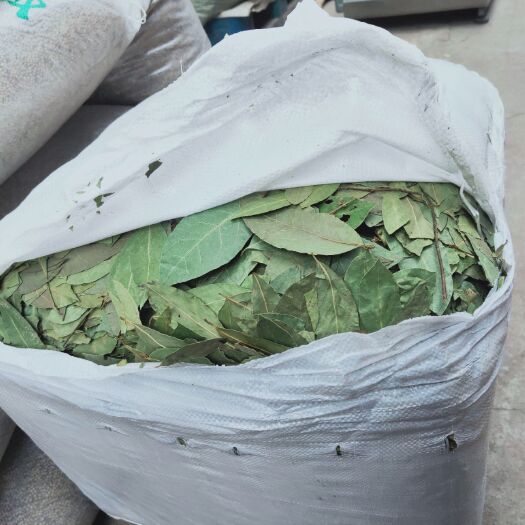 滕州市精品香叶