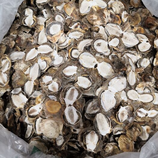 长宁县 竹荪蛋片