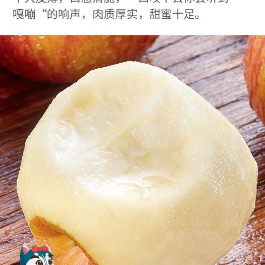富平县 陕西红富士苹果
