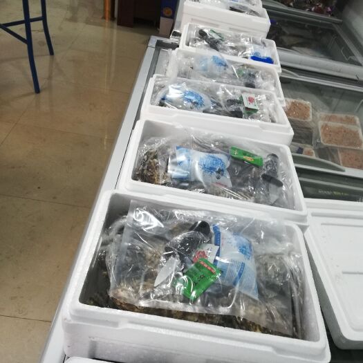庄河市大连生蚝 大连北纬39℃深海无污染海域生蚝